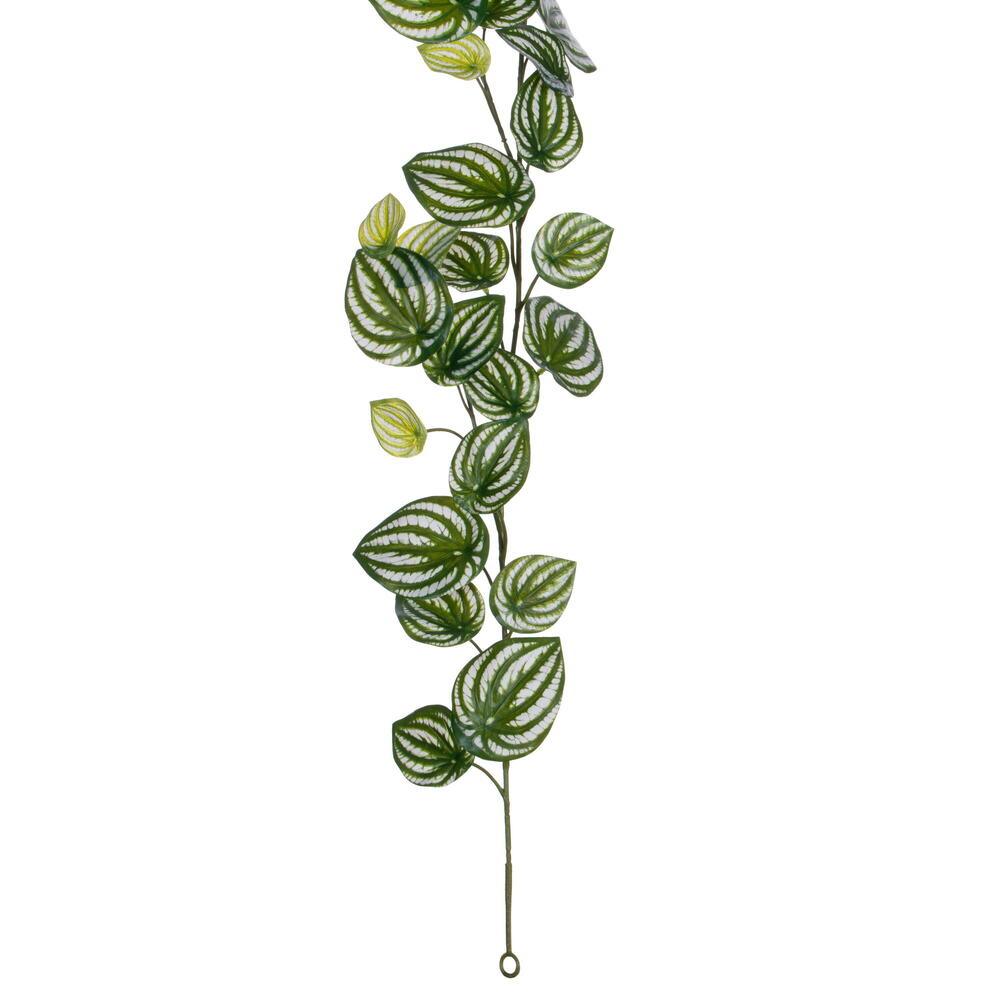 72" Watermelon Peperomia Garland UV
