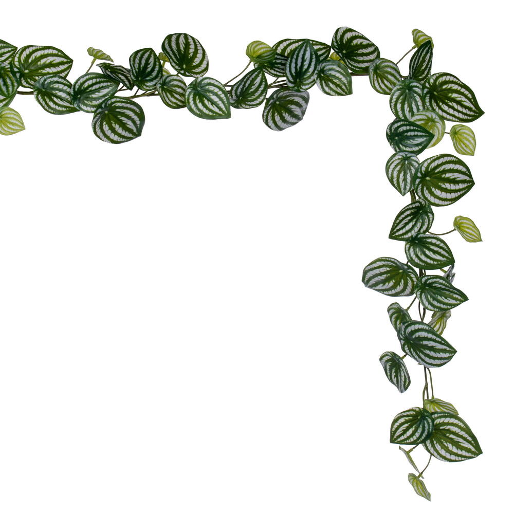 72" Watermelon Peperomia Garland UV