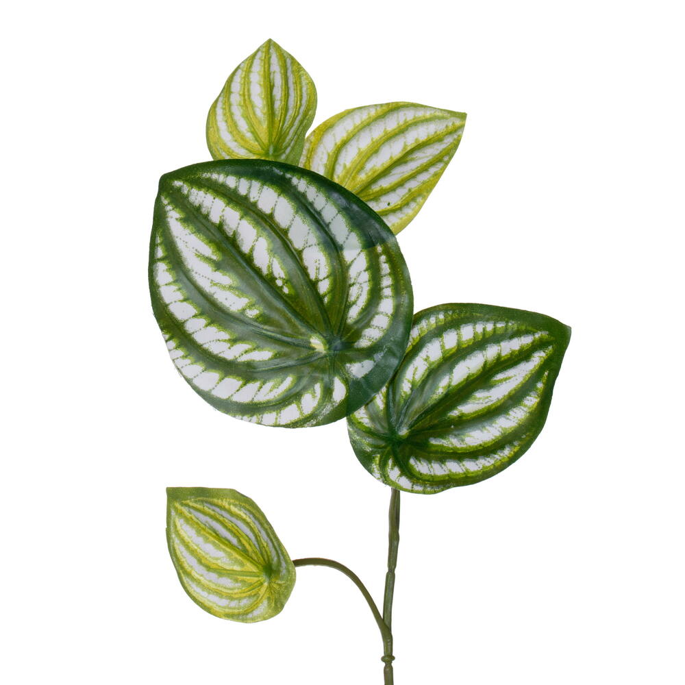 72" Watermelon Peperomia Garland UV