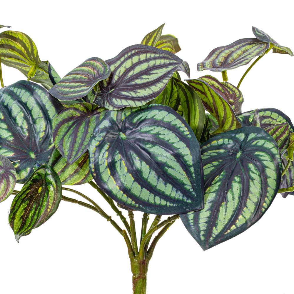 Vickerman Artificial Peperomia Piccolo Bush