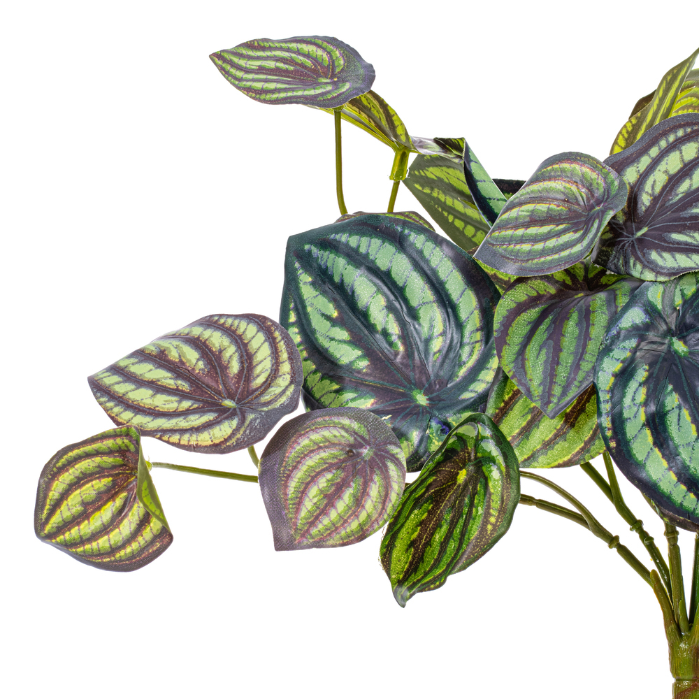 Vickerman Artificial Peperomia Piccolo Bush