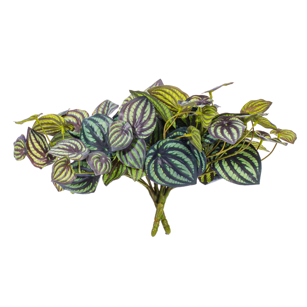 Vickerman Artificial Peperomia Piccolo Bush