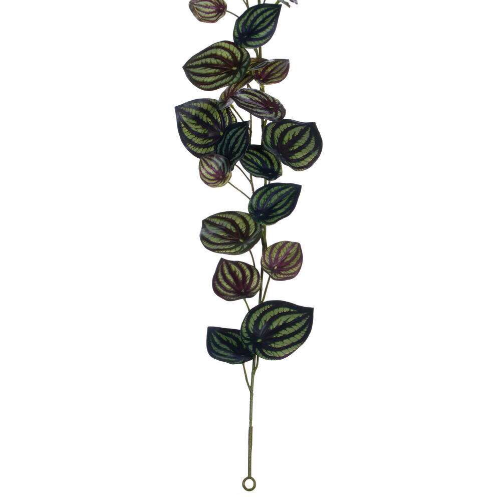72" Peperomia Piccolo Garland UV
