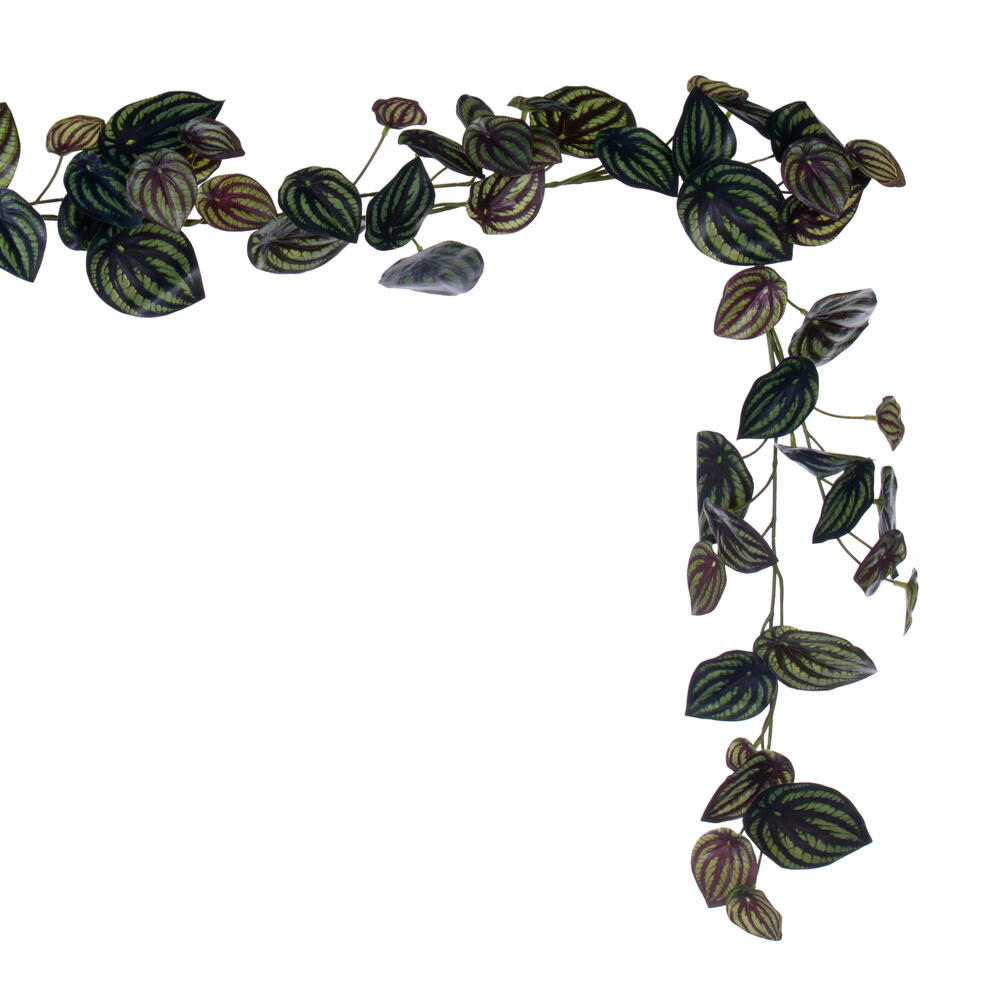 72" Peperomia Piccolo Garland UV