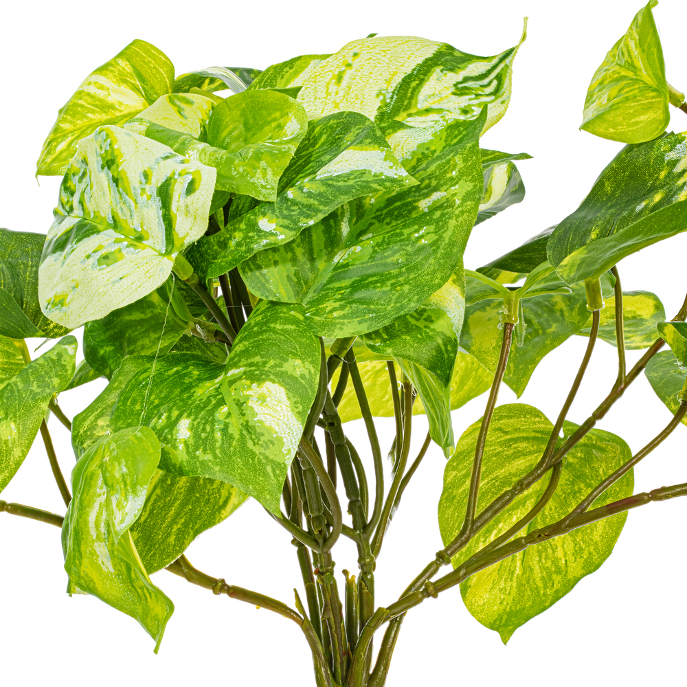 Vickerman Artificial Manjula Pothos Bush