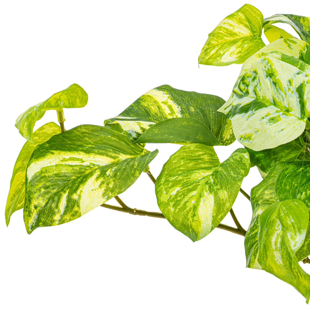Vickerman Artificial Manjula Pothos Bush
