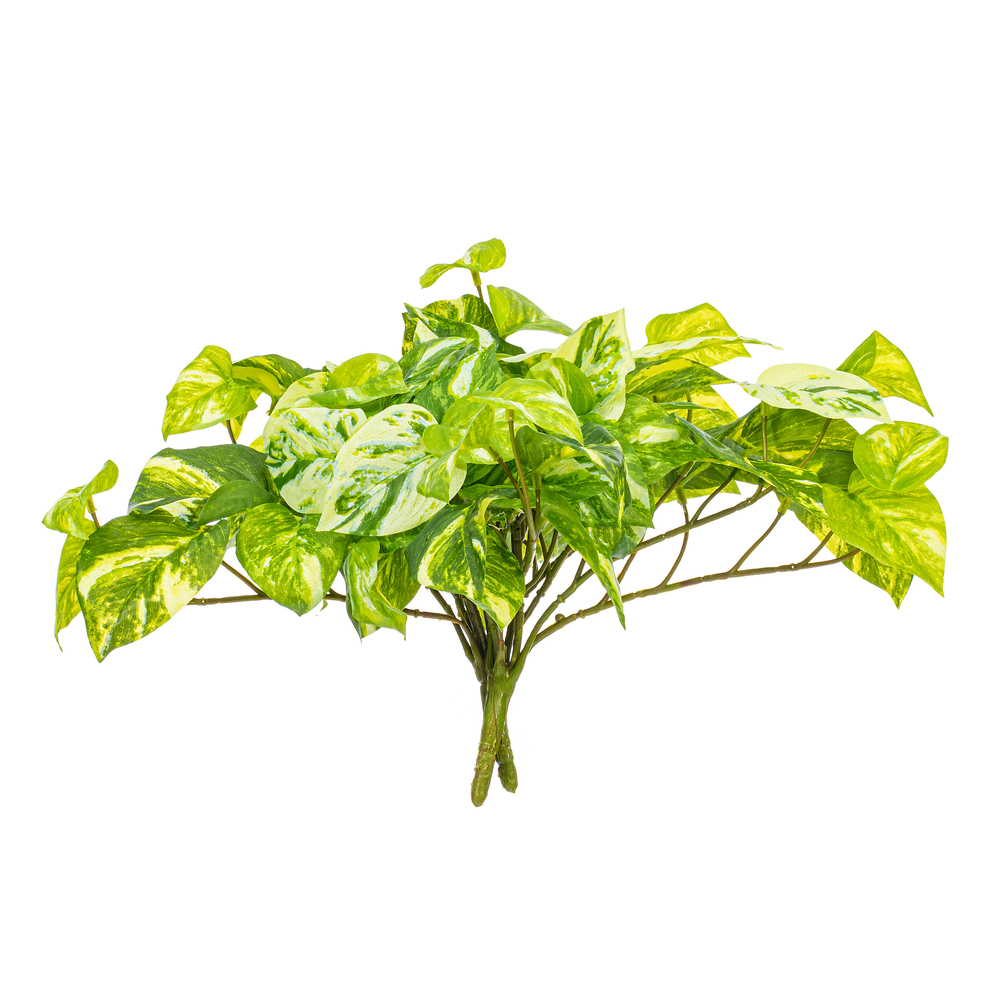 Vickerman Artificial Manjula Pothos Bush