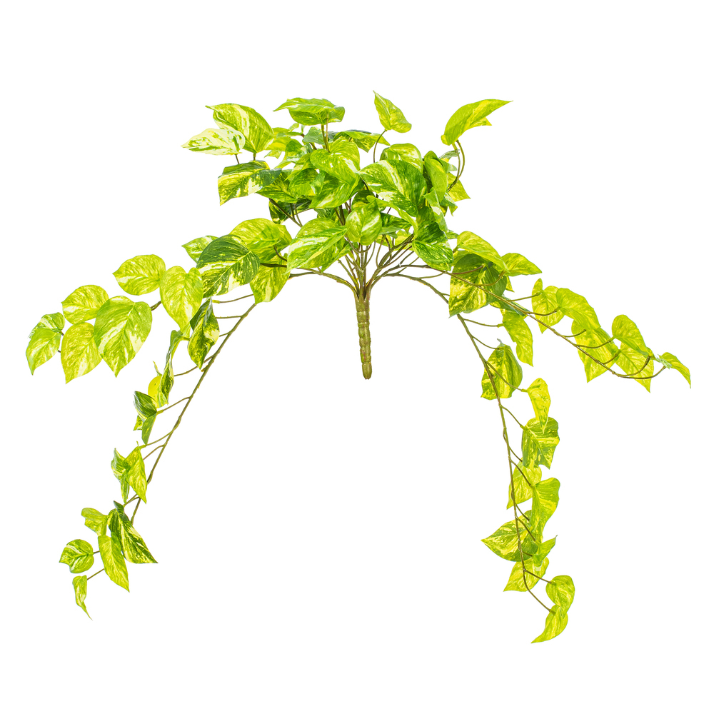Vickerman Artificial Manjula Pothos Bush