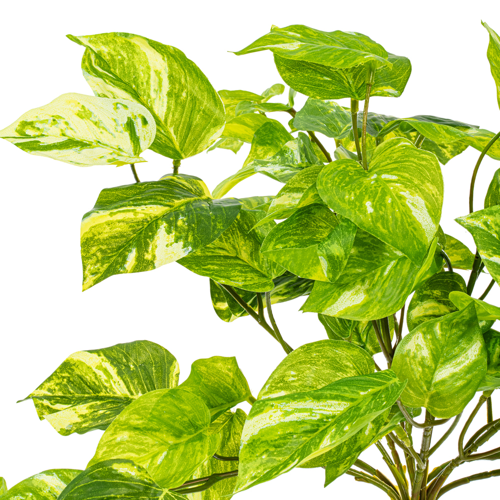 Vickerman Artificial Manjula Pothos Bush