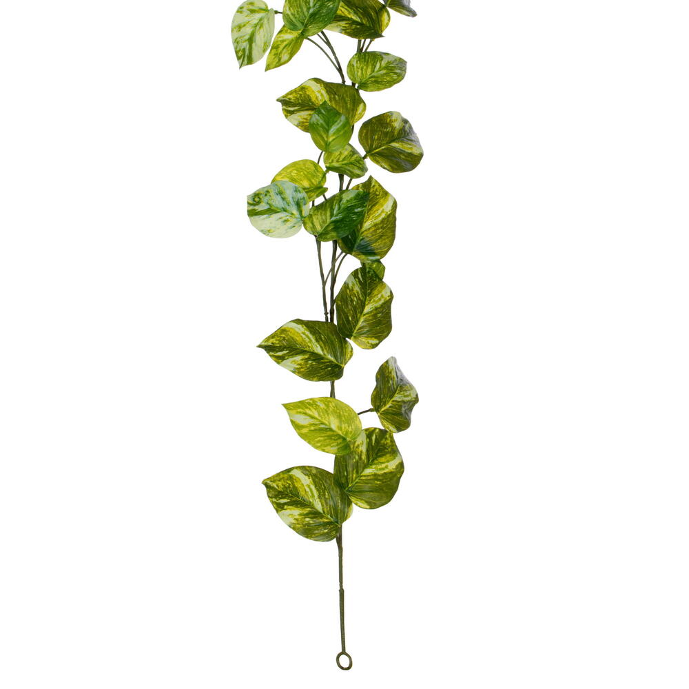 72" Manjula Pothos Garland UV