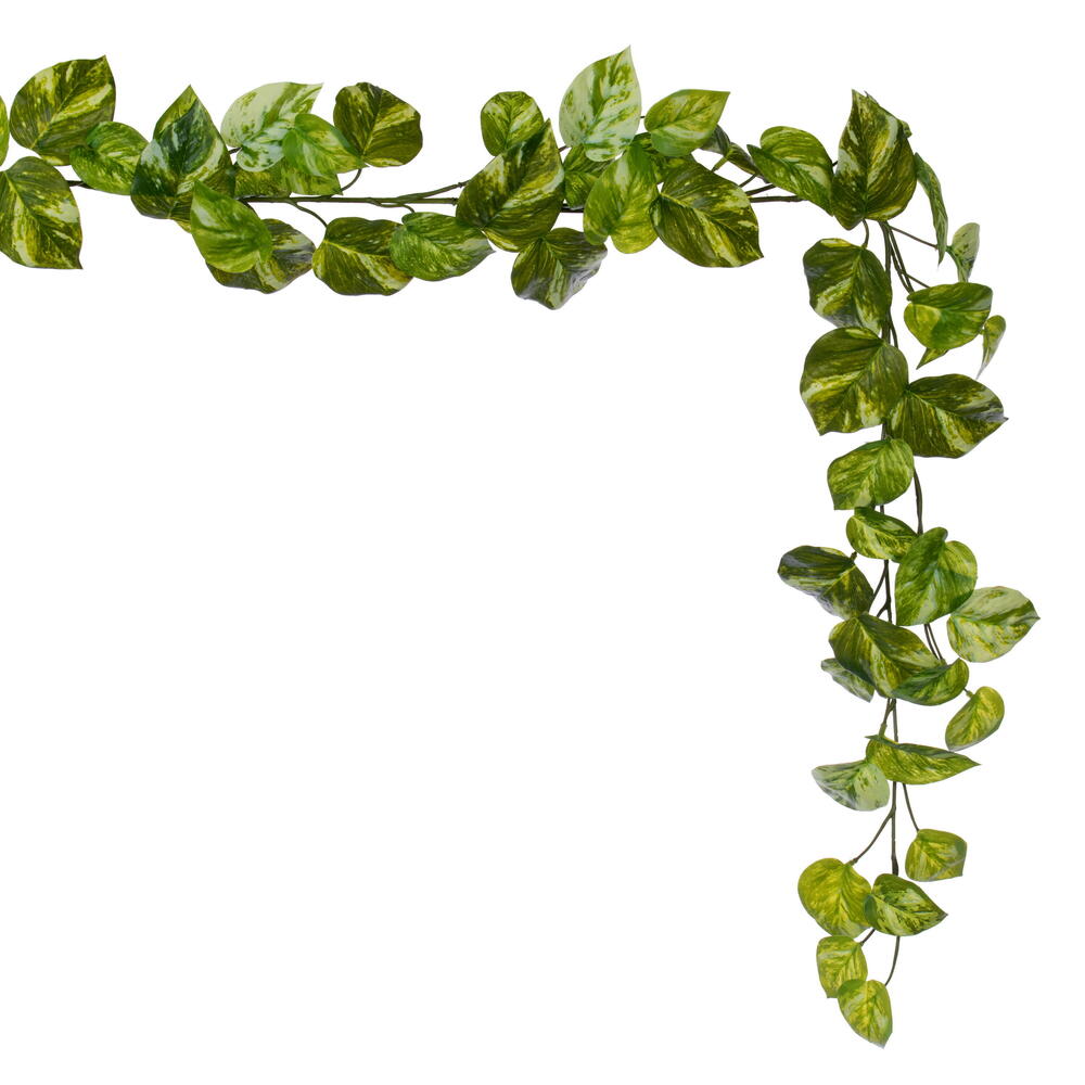 72" Manjula Pothos Garland UV