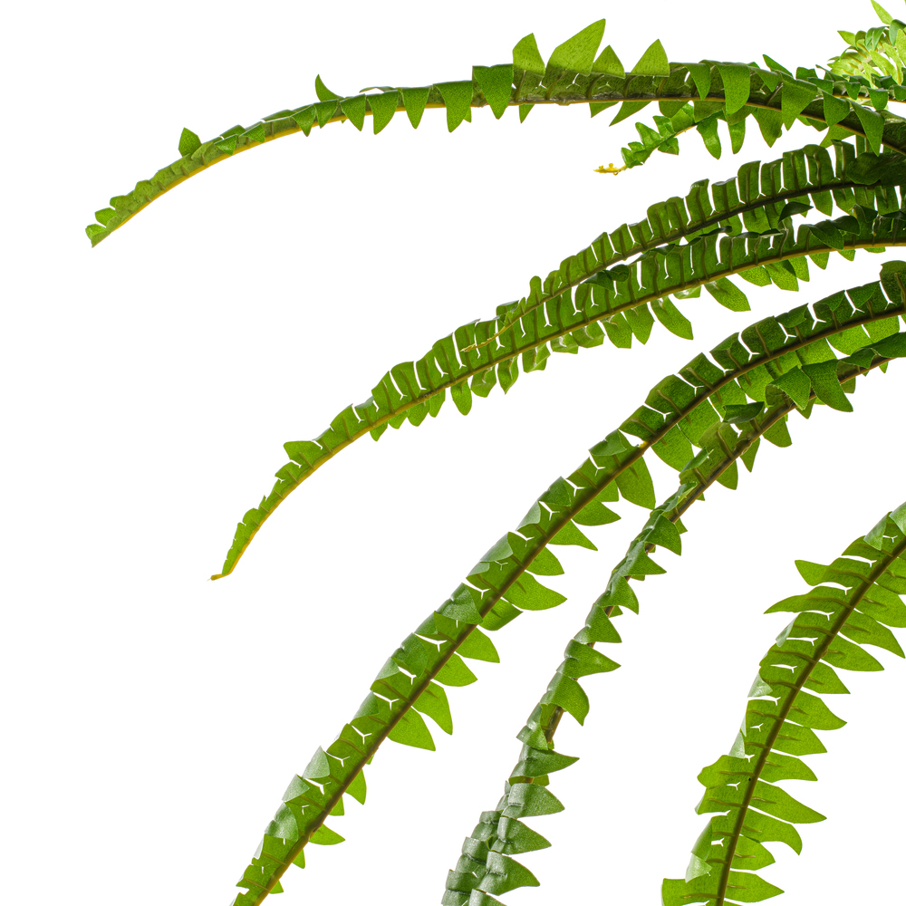 Vickerman Green Artificial Boston Fern Bush