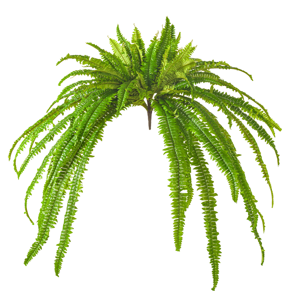 Vickerman Green Artificial Boston Fern Bush