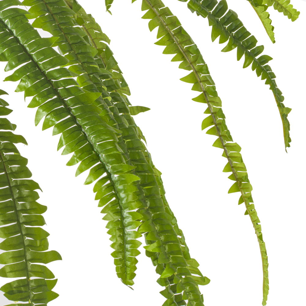 Vickerman Green Artificial Boston Fern Bush