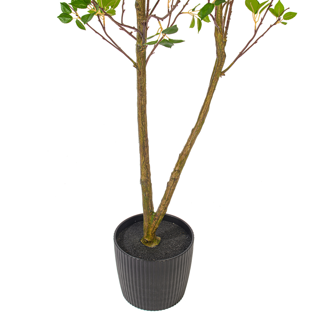 Vickerman Artificial Potted Baby Leaf Tree