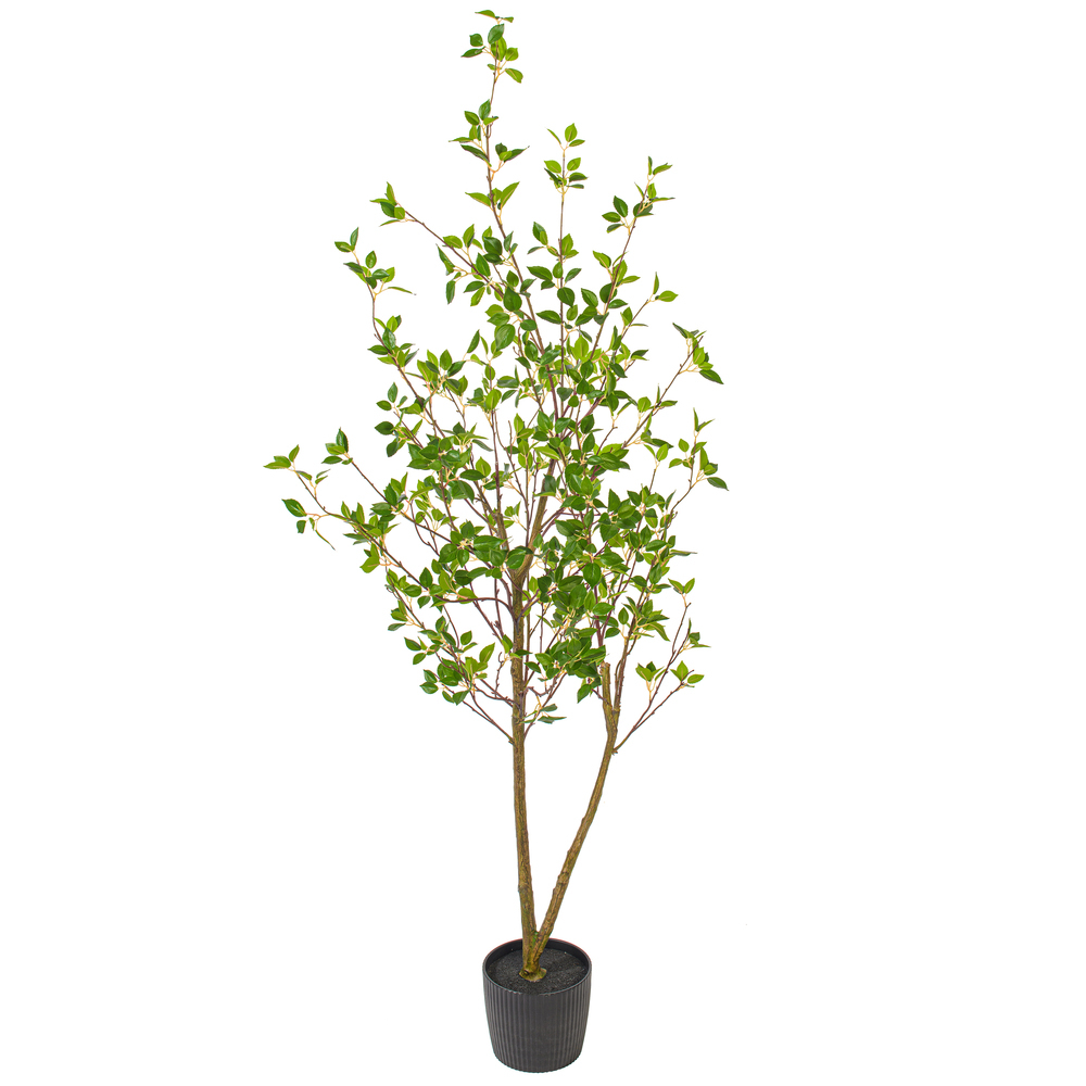 Vickerman Artificial Potted Baby Leaf Tree