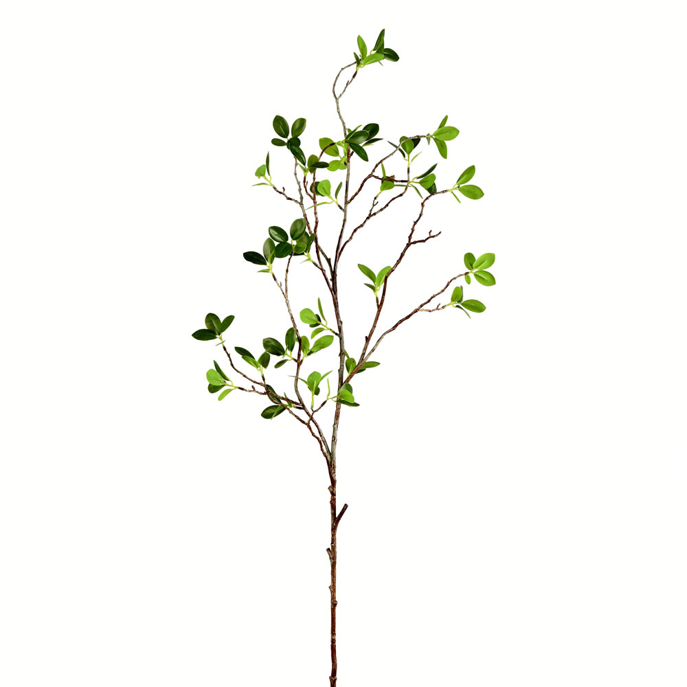 43" Green Milan Leaf Pk 2/Pk