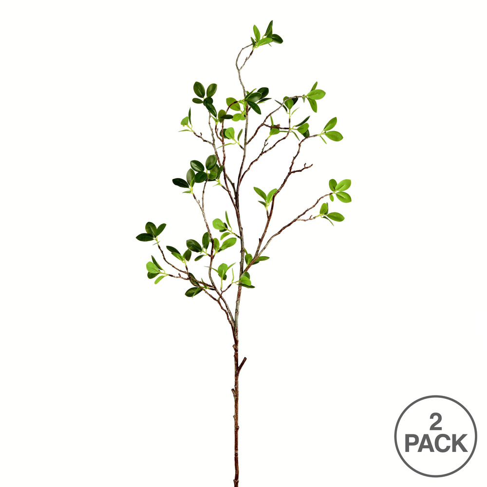 43" Green Milan Leaf Pk 2/Pk