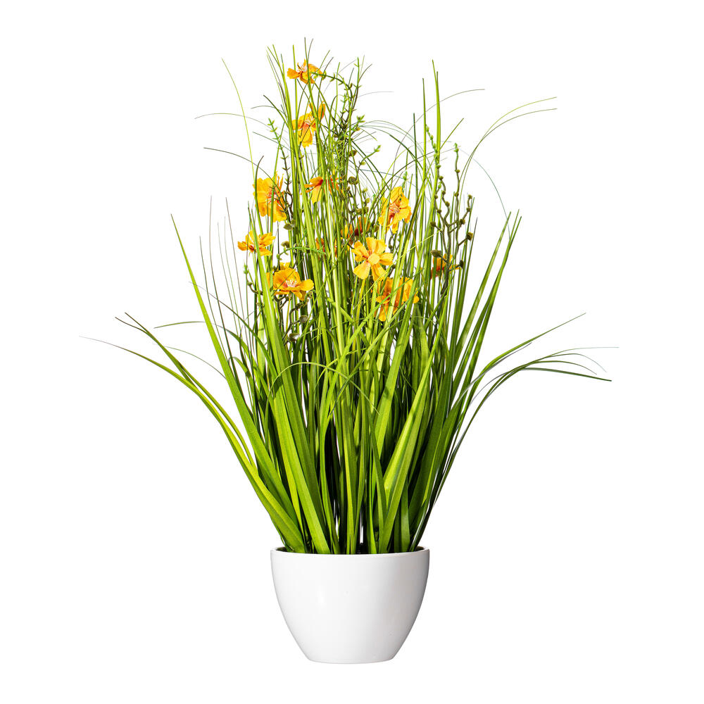 Yellow Cosmos and Grass