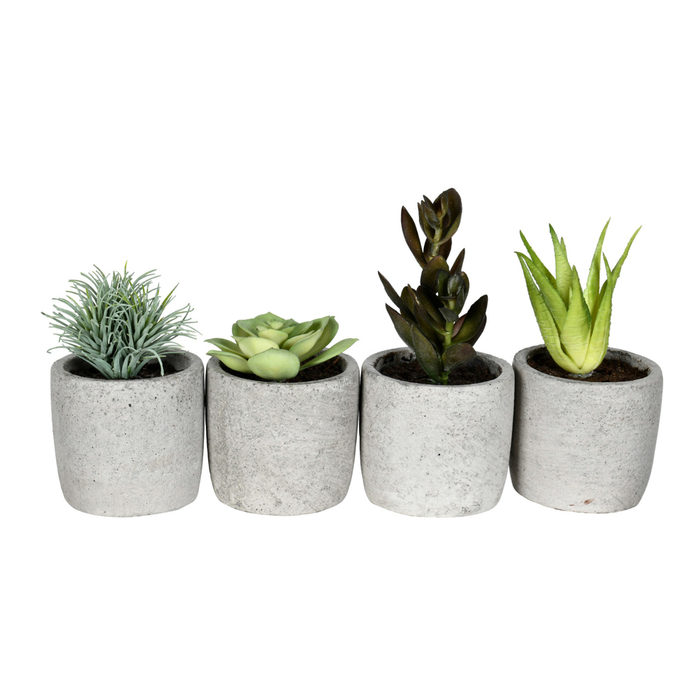 Vickerman Artificial Assorted Potted Artificial Succulents