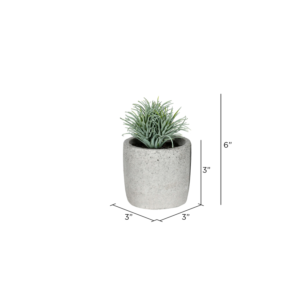 Vickerman Artificial Assorted Potted Artificial Succulents