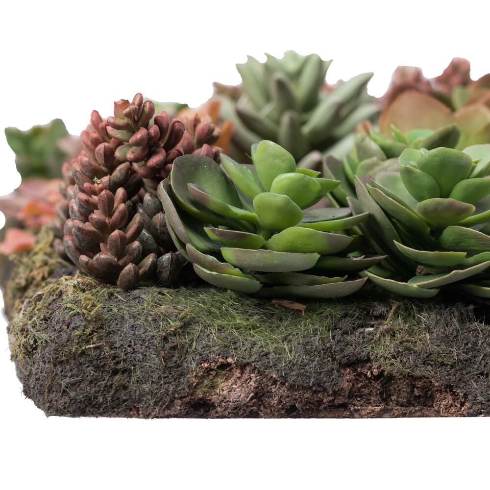 16.5" Multi-Colored Succulent Wall Arran