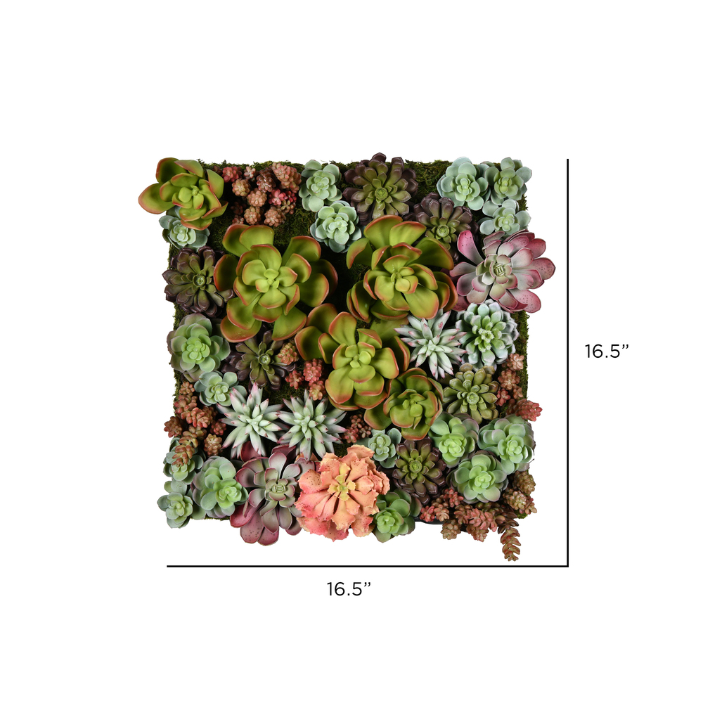 16.5" Multi-Colored Succulent Wall Arran