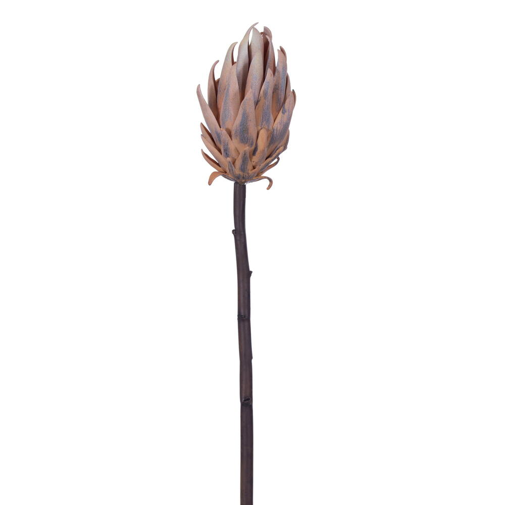 Vickerman 22" Protea Stem 2/Bag
