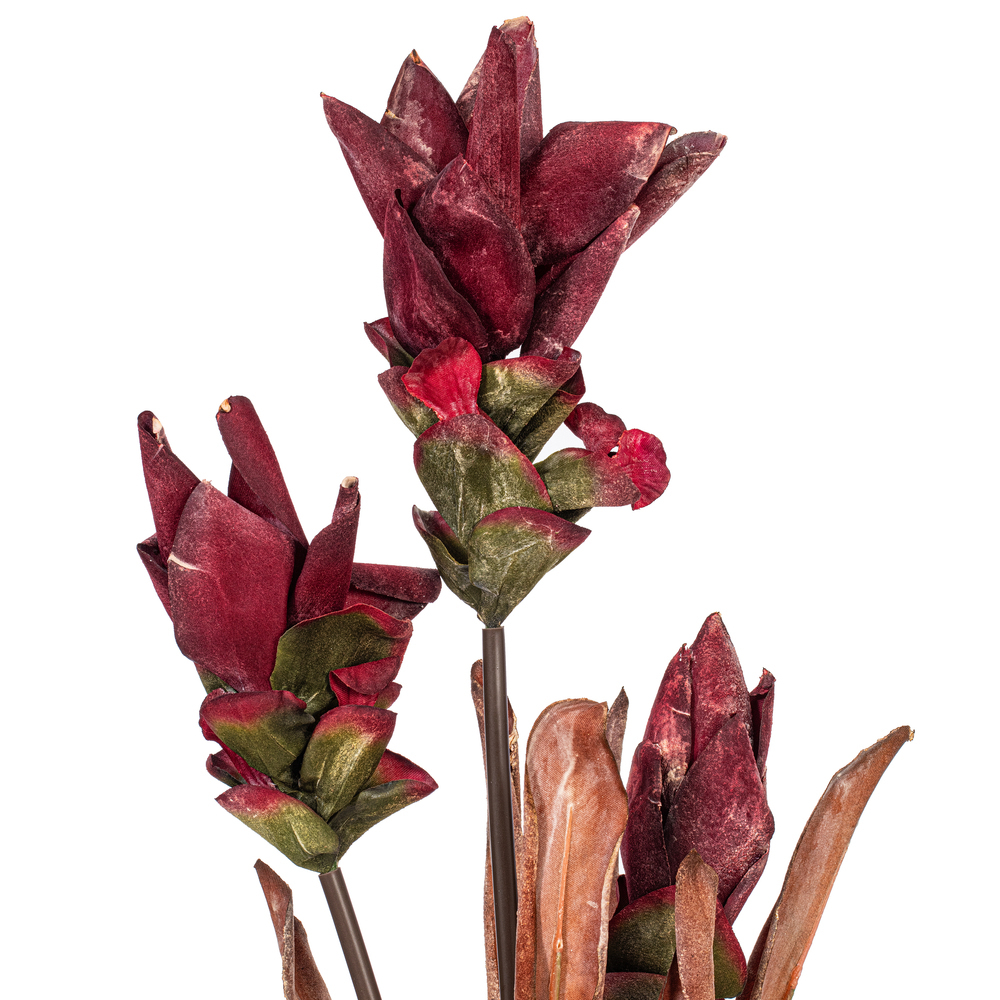 Vickerman 28.5" Siam Tulip 2/Bag