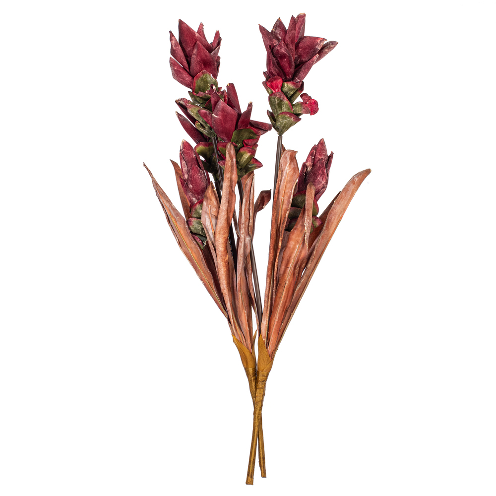 Vickerman 28.5" Siam Tulip 2/Bag