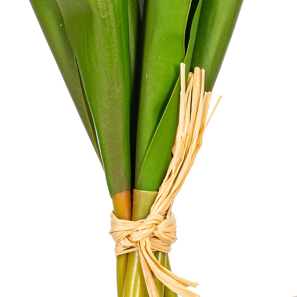 Vickerman 16" Tulip Bundle 2/Bag