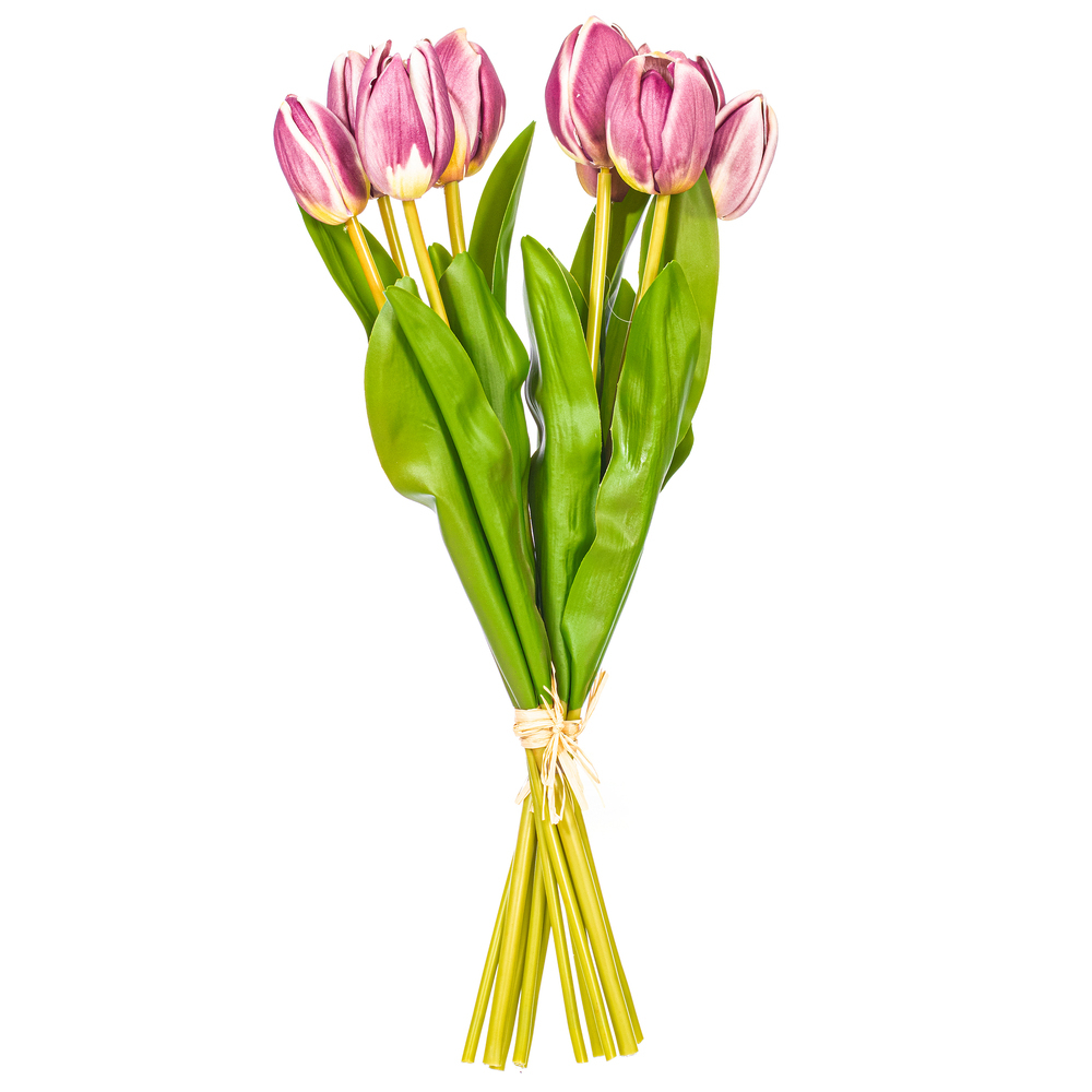 Vickerman 16" Tulip Bundle 2/Bag