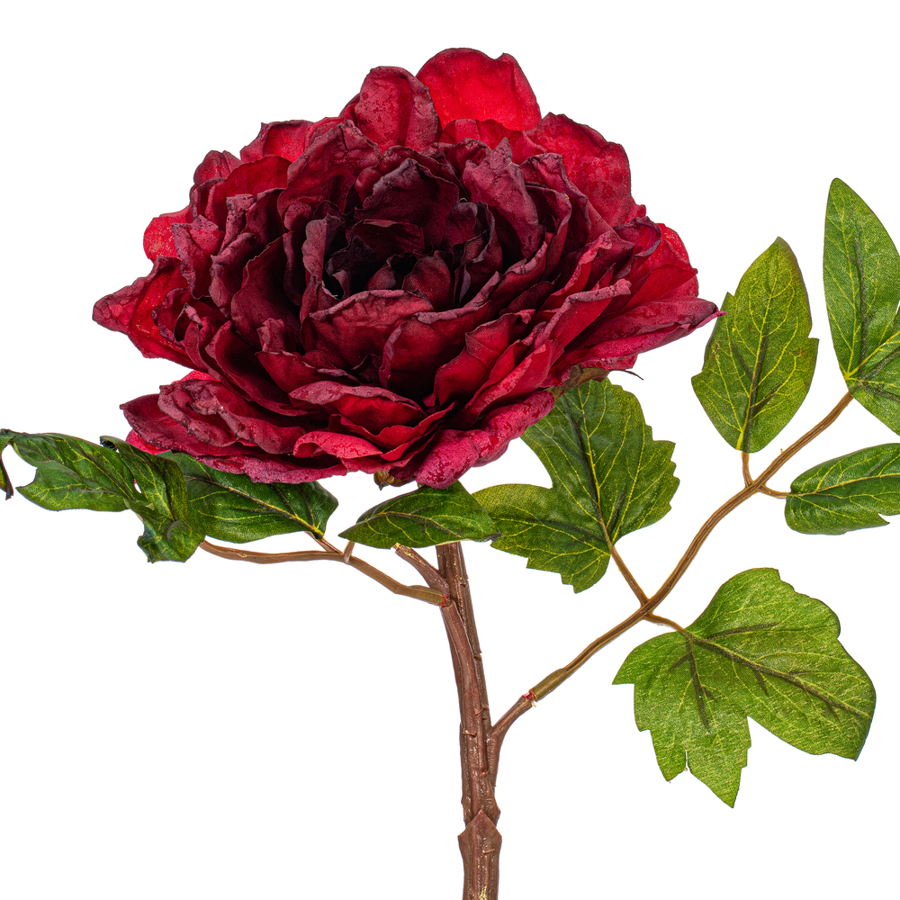 Vickerman 16.5“ Peony Stem