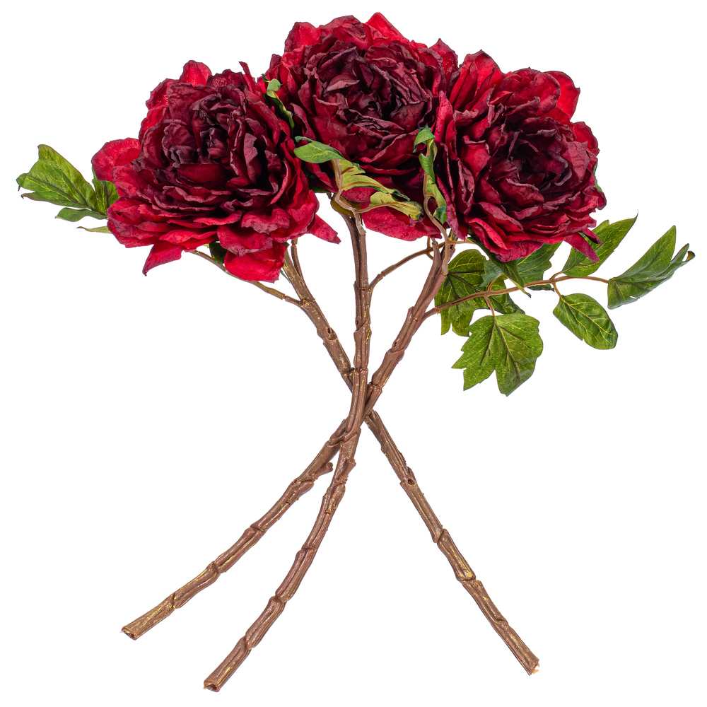 Vickerman 16.5“ Peony Stem