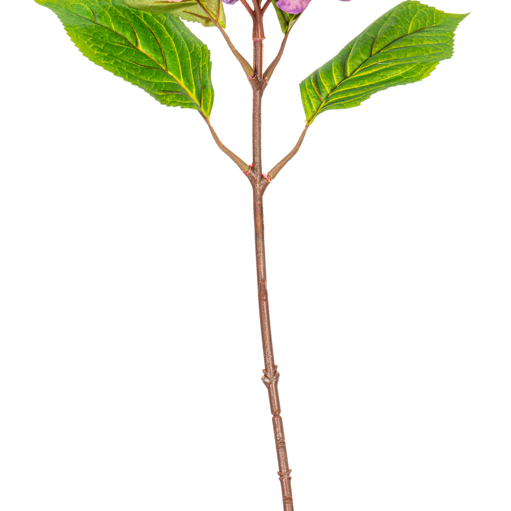 Vickerman 20" Hydrangea Stem