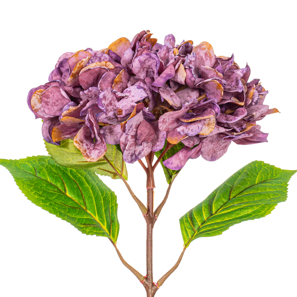 Vickerman 20" Hydrangea Stem