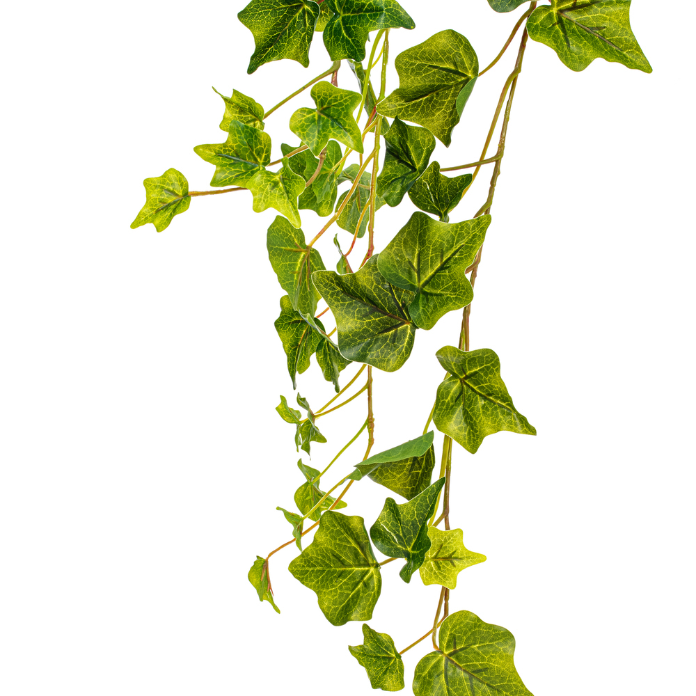 Vickerman Artificial Green Ivy Hanging Bush