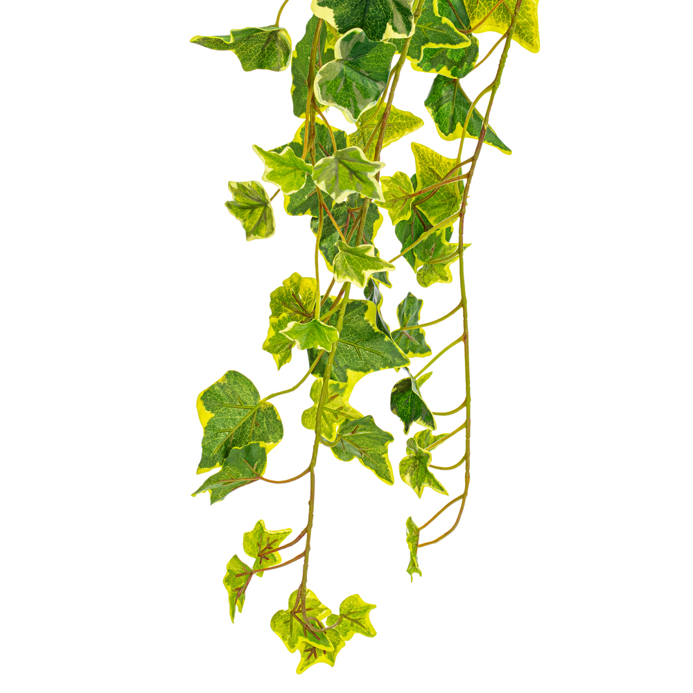 Vickerman Artificial Varigated Ivy Hanging Bush