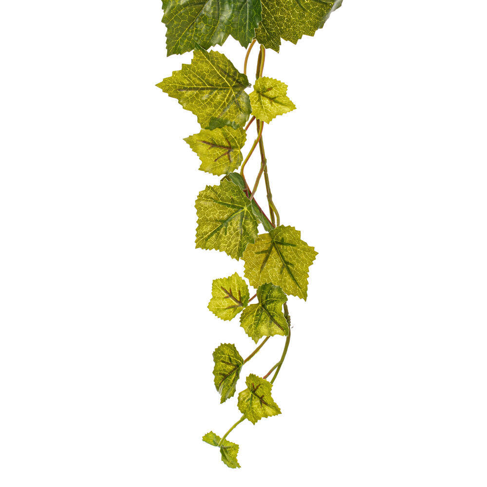 Vickerman Artificial Green Grape Leaf Ivy Hanging Bush