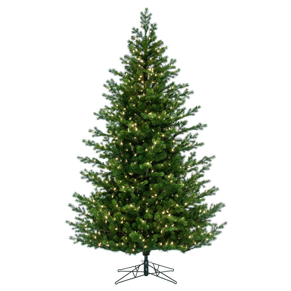 Full Trees