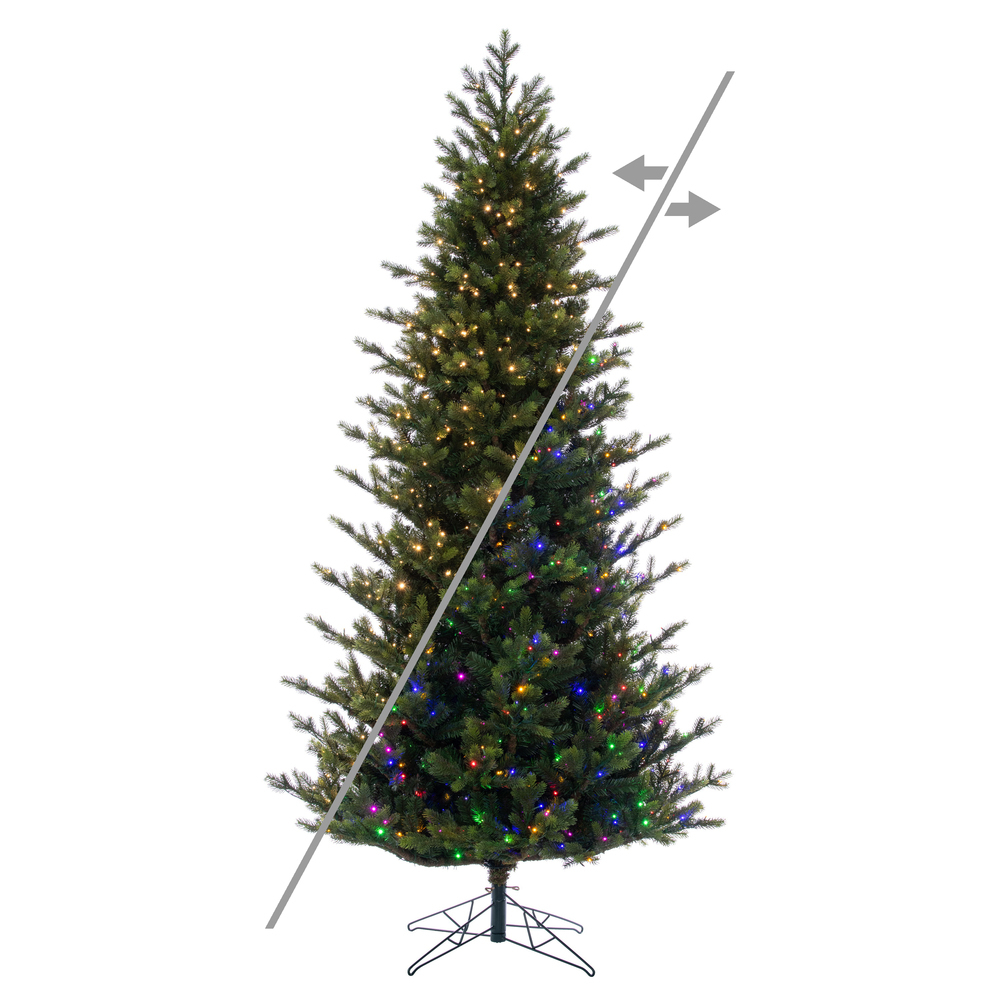 Slim Trees