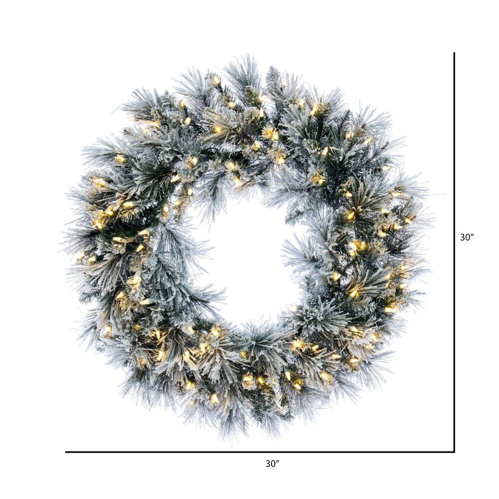 Vickerman Flocked Jackson Pine Artificial Wreath