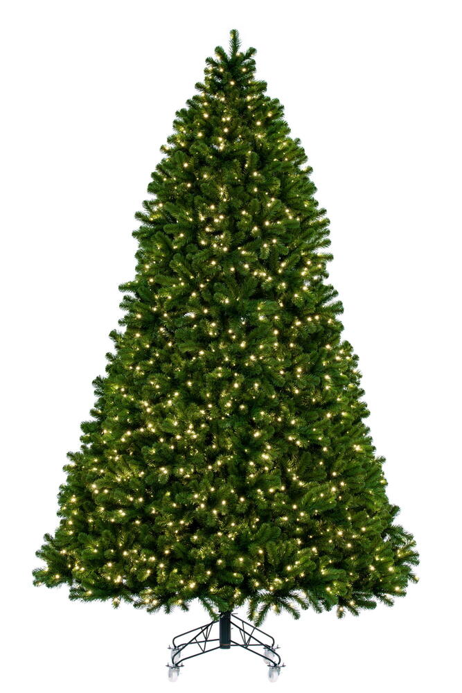 Full Trees