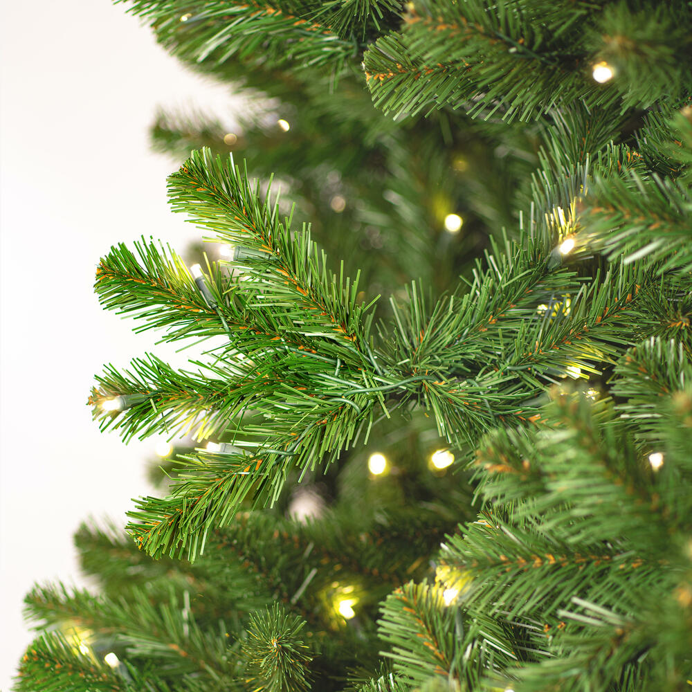 Vickerman Deluxe Sequoia Pine Artificial Full Christmas Tree