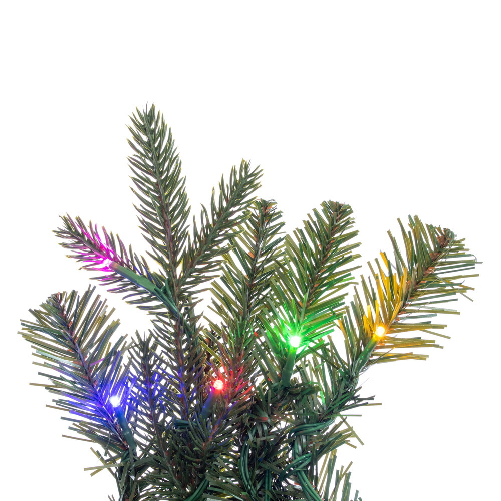 Vickerman Colorado Fir Artificial  Garland