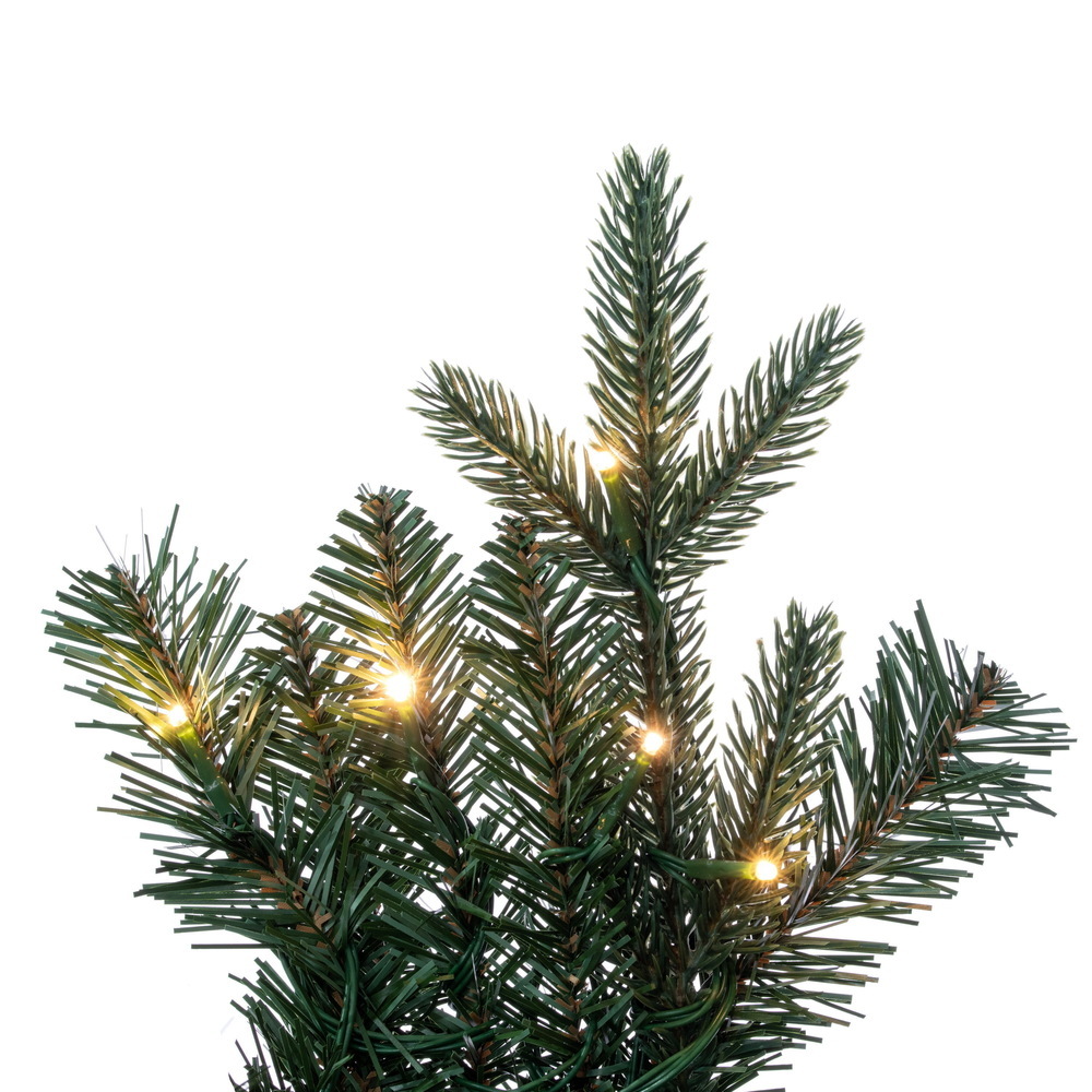Vickerman Colorado Blue Fir Artificial Garland