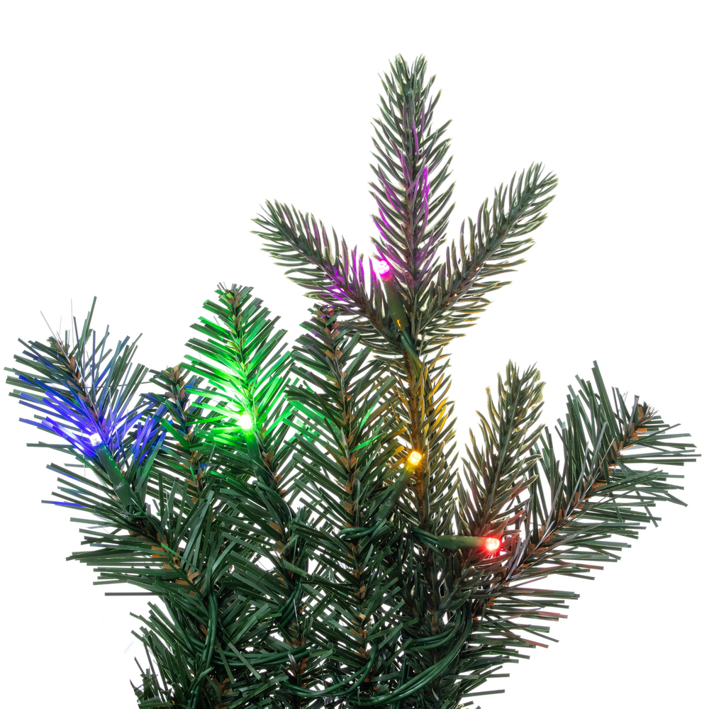 Vickerman Colorado Blue Fir Artificial Wreath