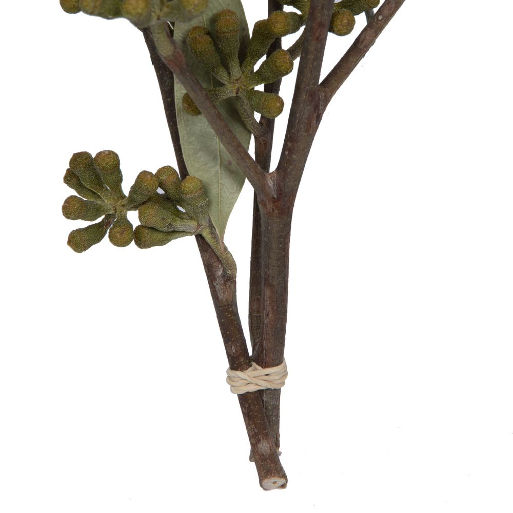 Vickerman Natural Botanicals 15-17" x 8" Amber Fruit Foliage
