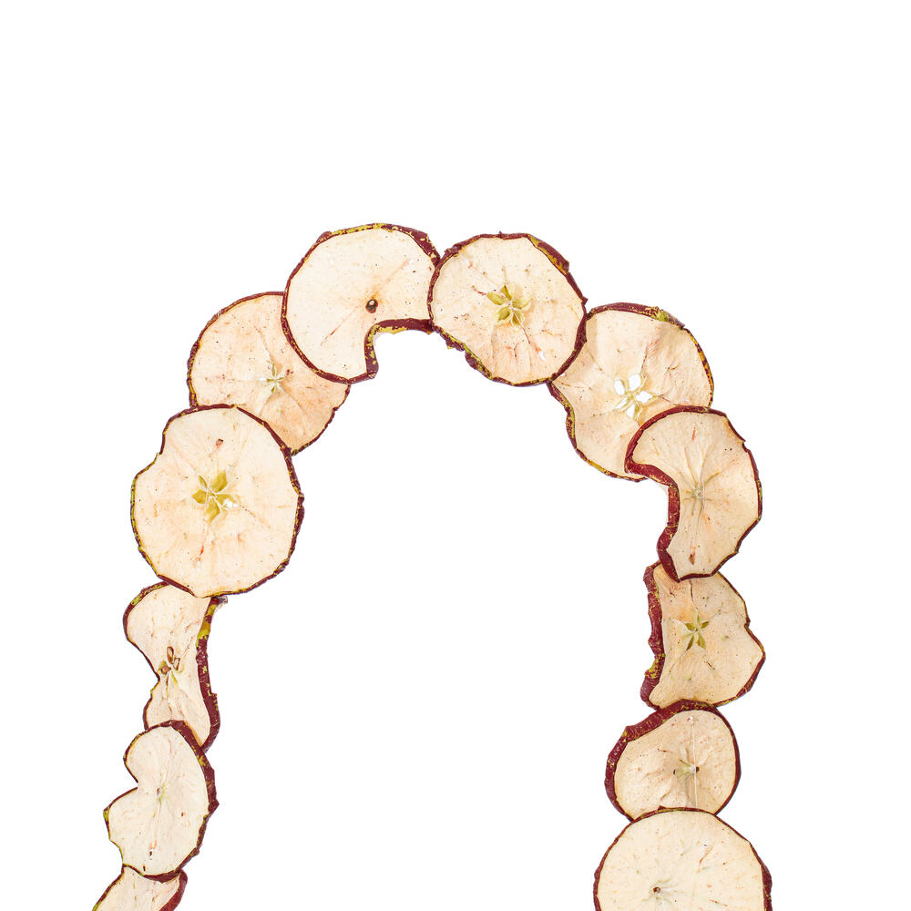 10' Natural Dried Apple Garland