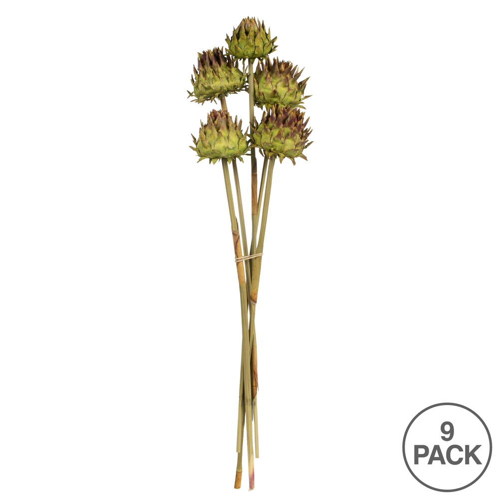 Vickerman Natural Dried Artichoke Head attached to a Reed Stem, Dried